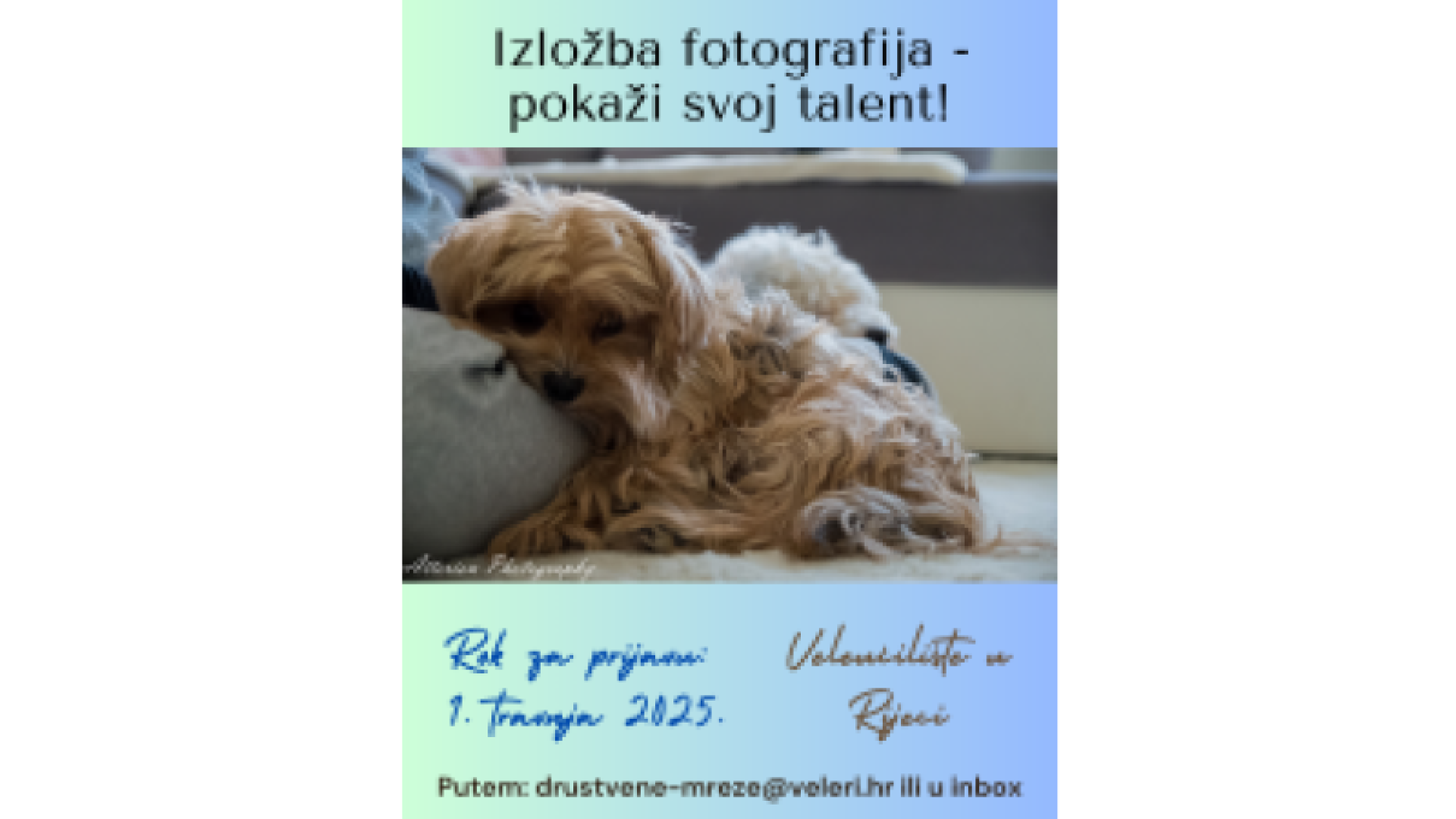 Izložba fotografija - pokaži svoj talent!