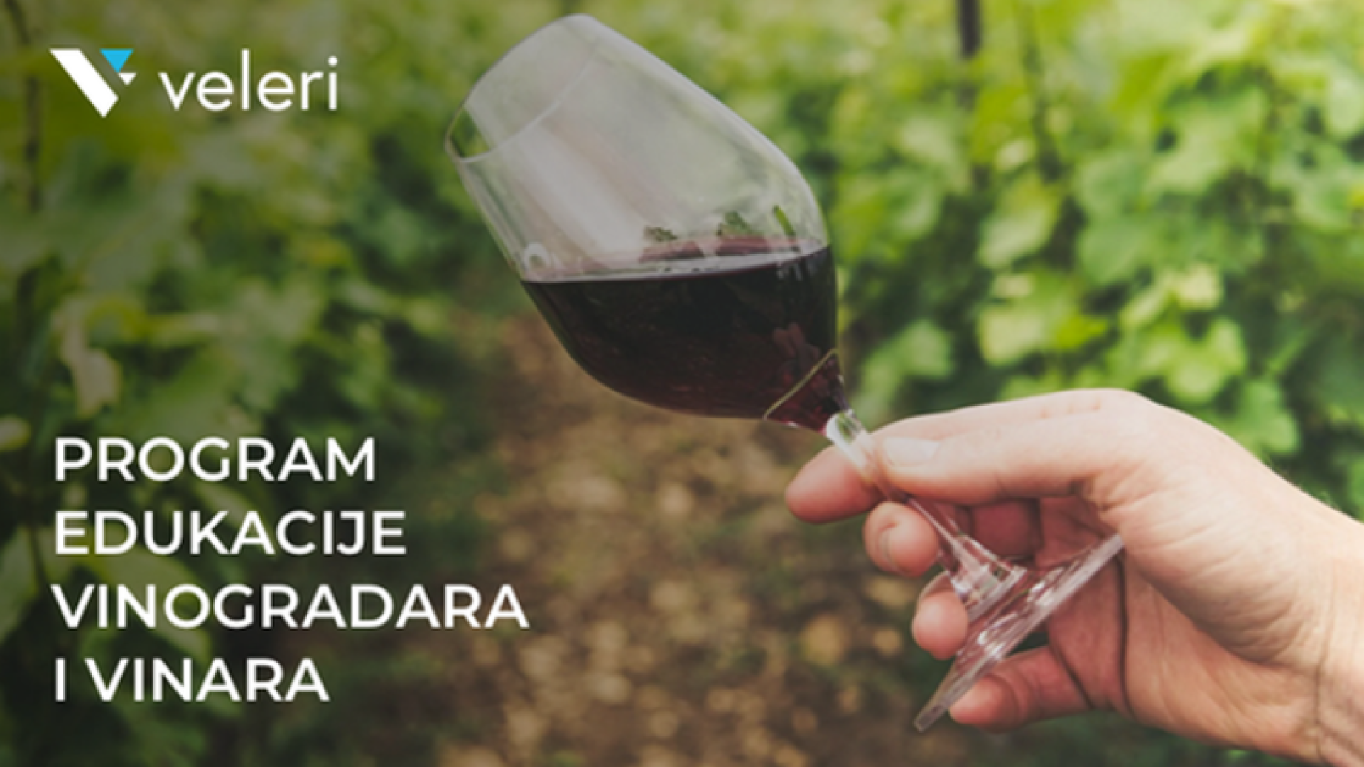 Prijave na „Program edukacije vinogradara i vinara“