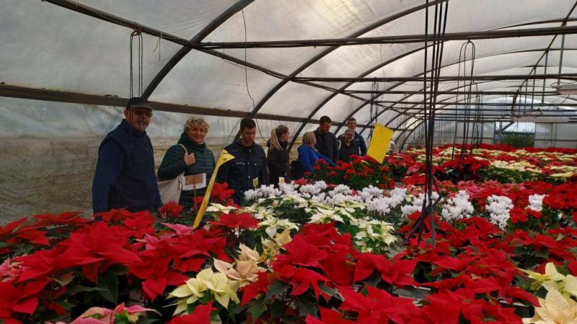 Studenti stručnog prijediplomskog studija Mediteranska poljoprivreda posjetili Rasadnik Dives
