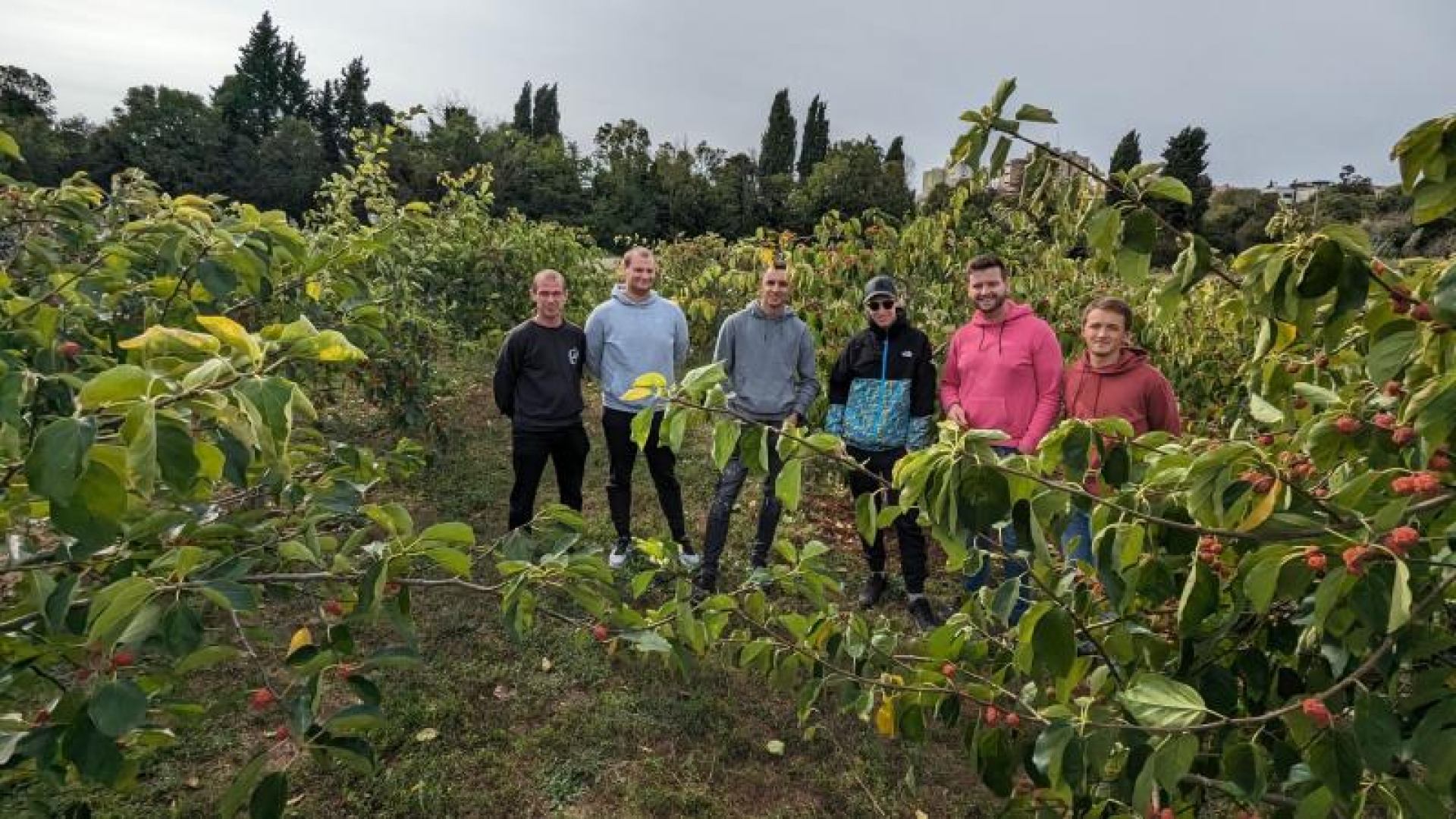 Terenska nastava u nasadu egzotičnog voća