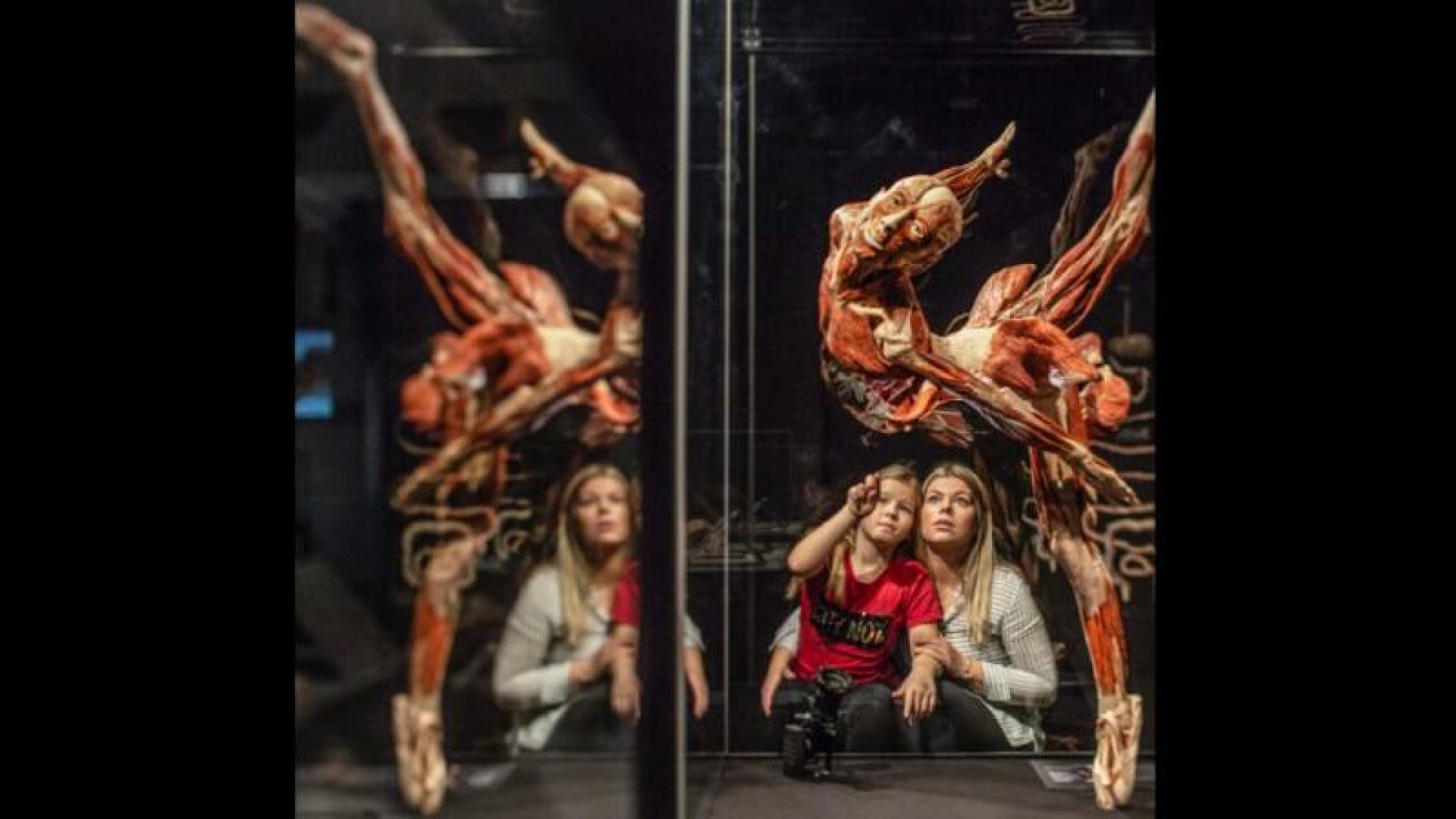 Izlet u Zagreb na izložbu BodyWorlds; prijave u tijeku