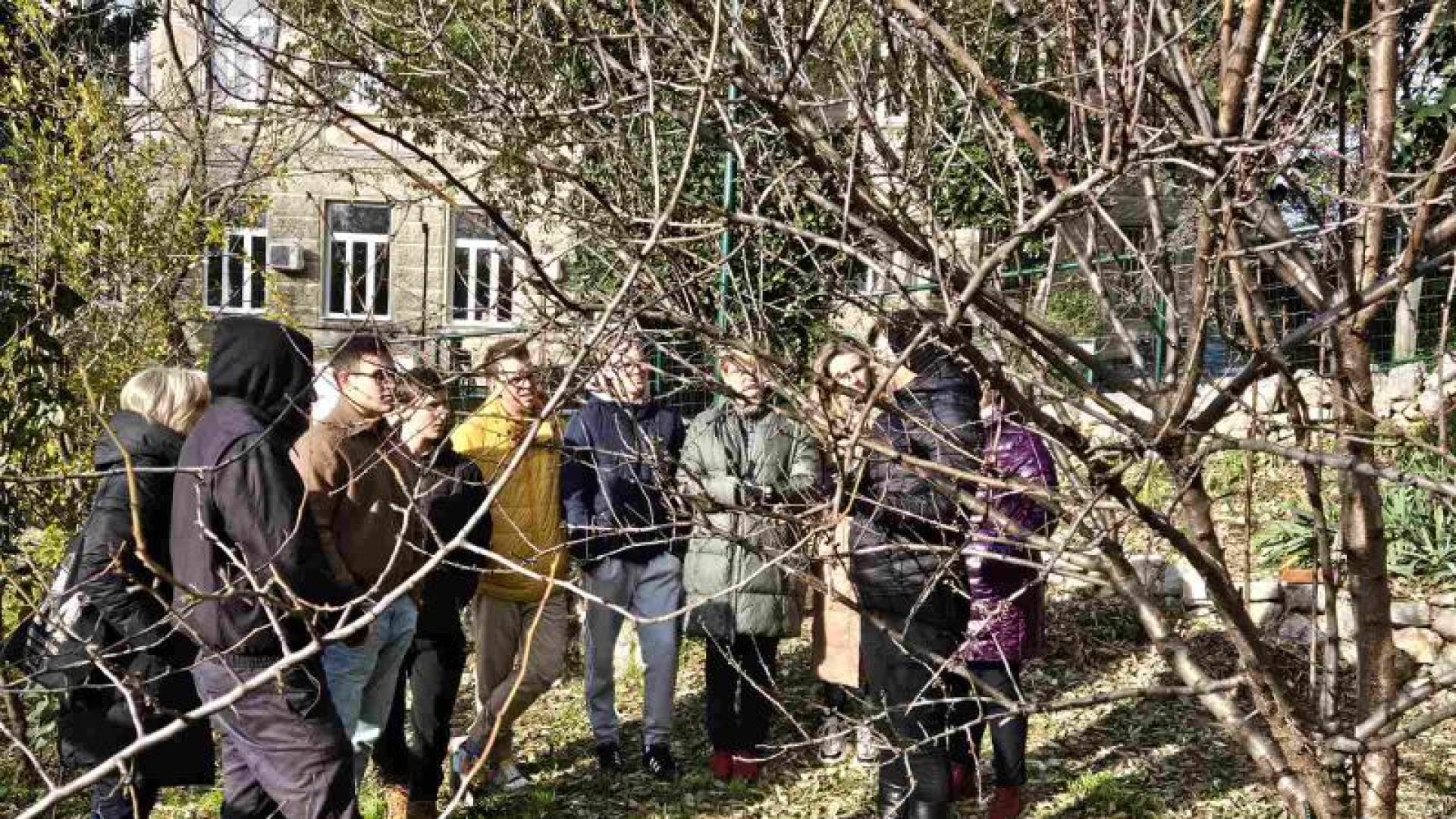 Radionica rezidbe voćaka i izrade sapuna u Učeničkom domu Podmurvice