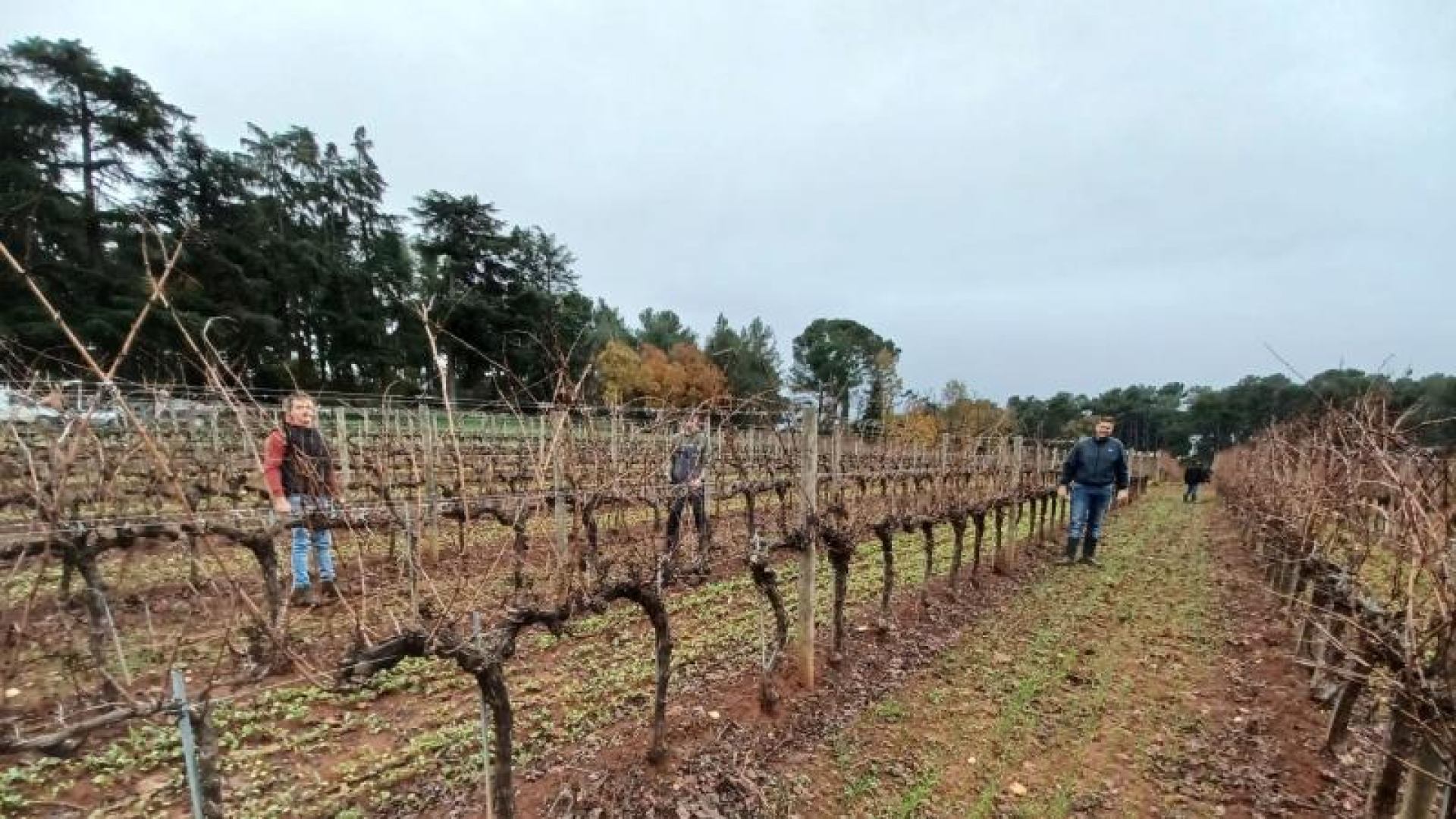 Uključivanje studenata u projekte suradnje s gospodarstvom