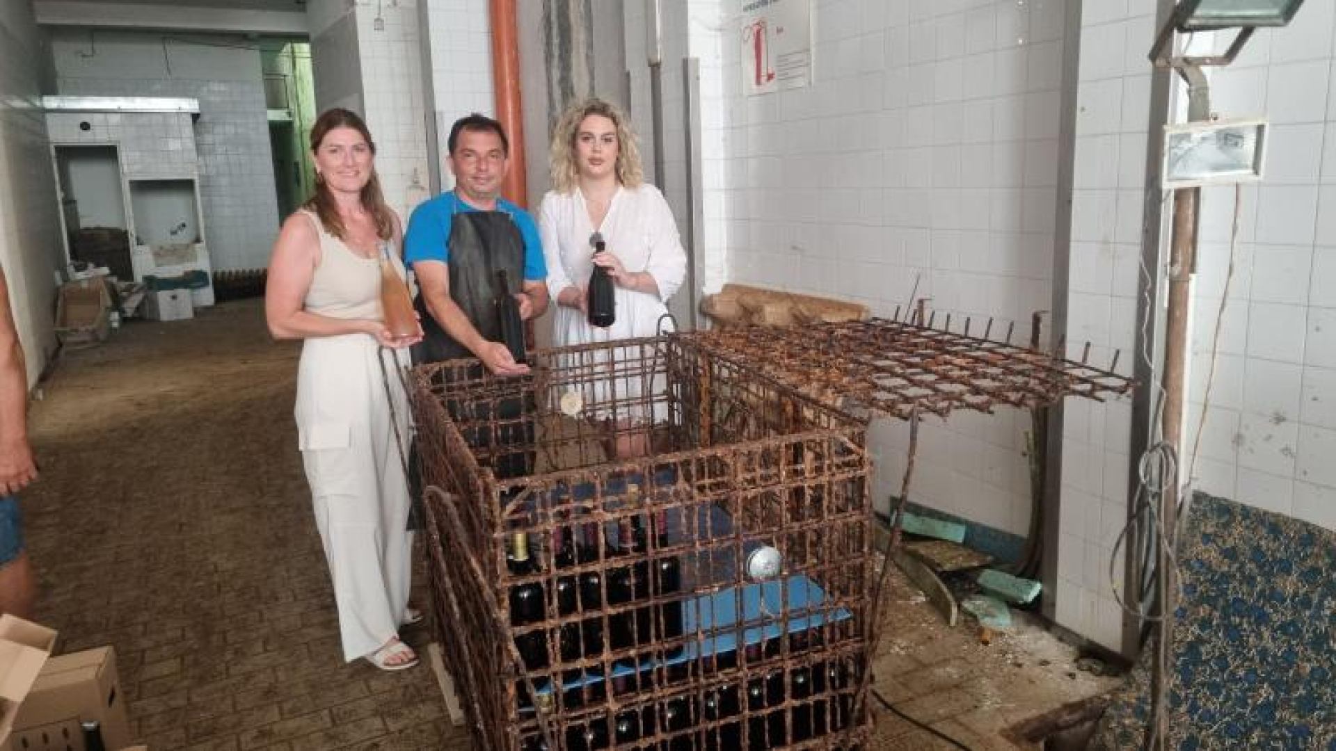 Studentska vina pod morem