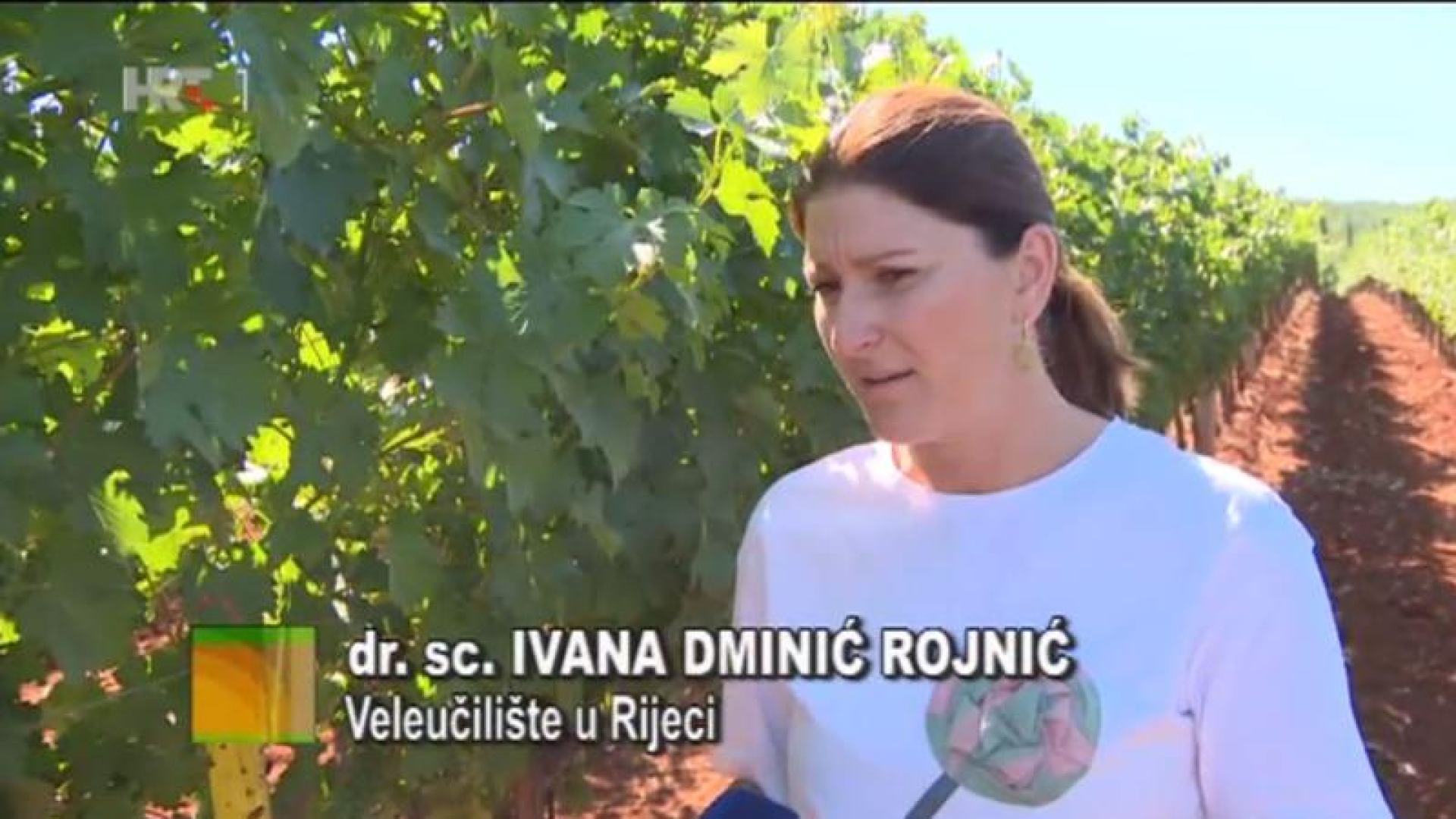 Veleučilište u Rijeci i Istarska županija na projektu 