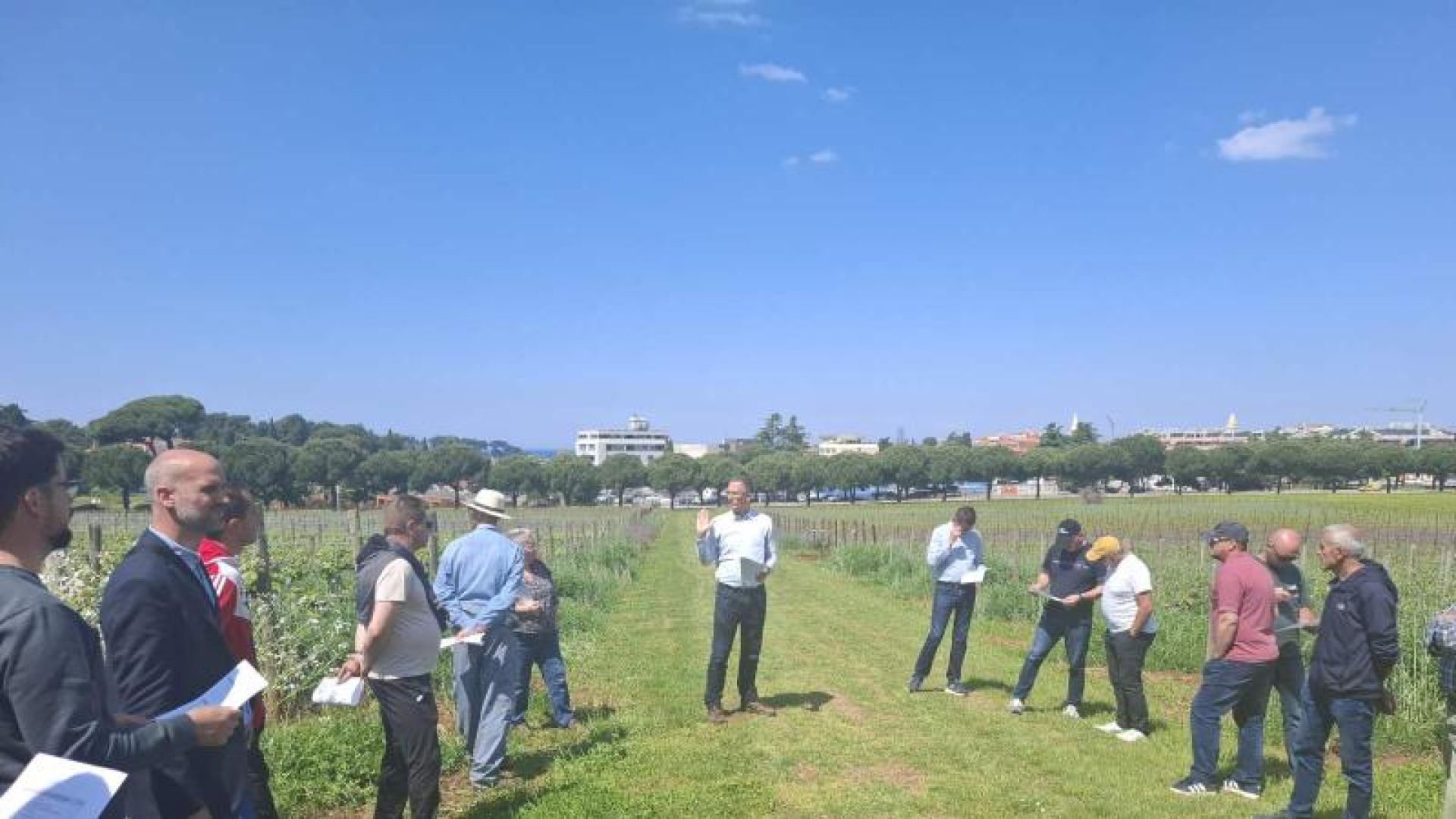 Studenti Poljoprivrednog odjela sudjelovali na terenskoj radionici na temu zatravljivanja vinograda