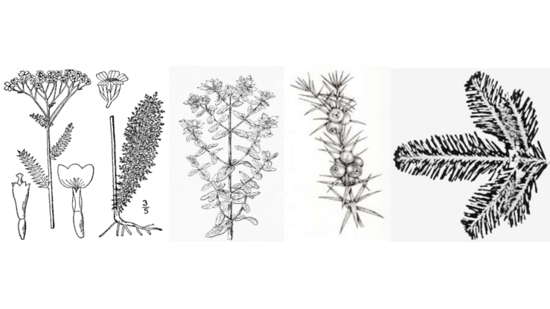 Poziv na ciklus predavanja 