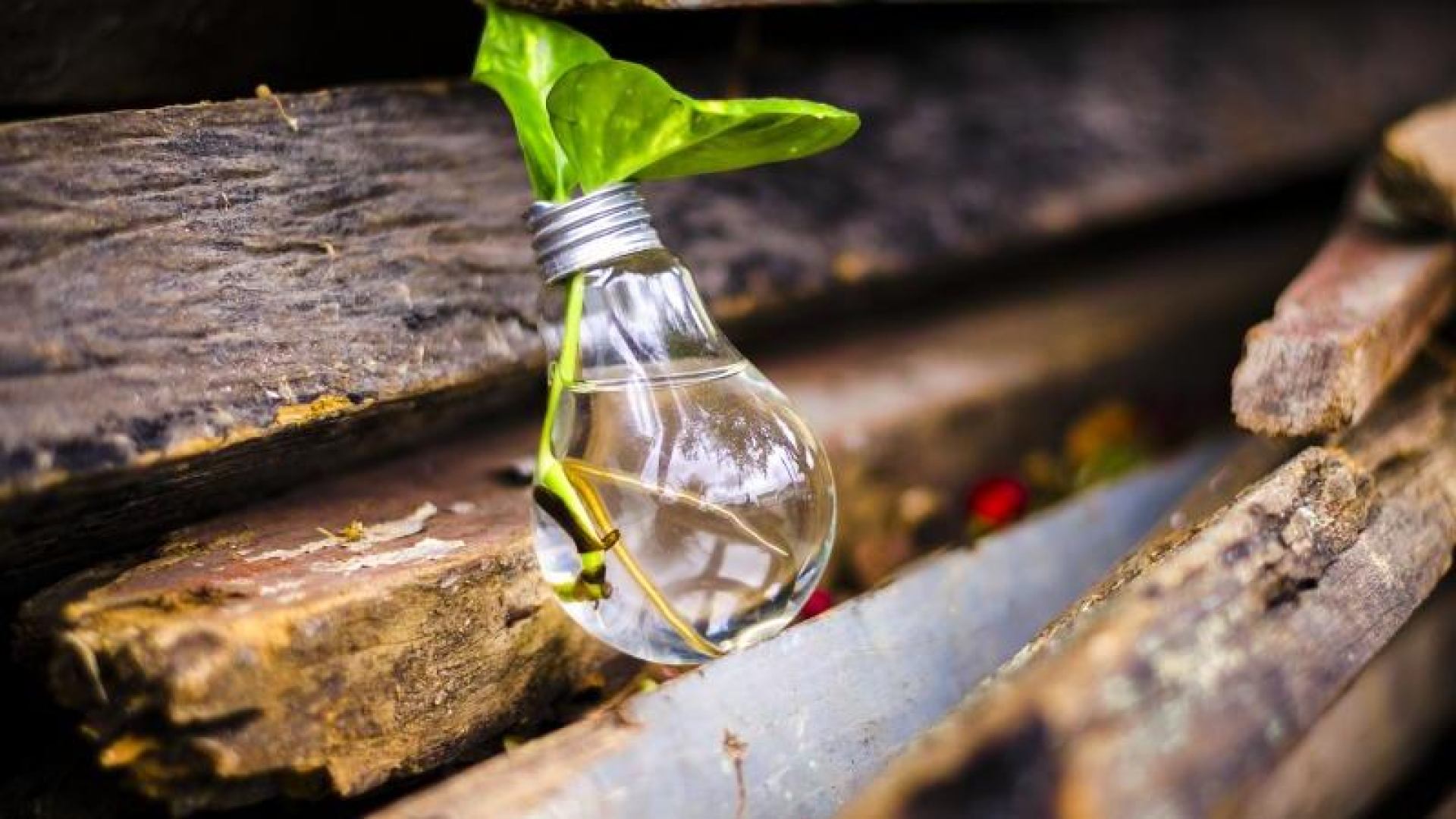 Veleučilište u Rijeci i Bina-Istra sklopili su Sporazum o znanstveno-razvojnoj suradnji