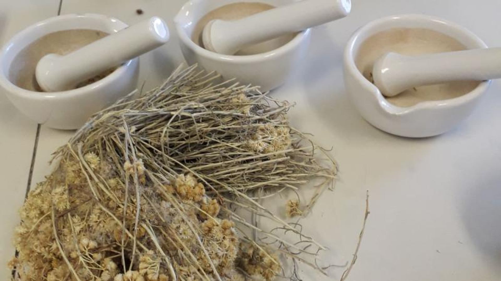 Bilateralni projekt pod nazivom UZGOJEM SMILJA DO ZAŠTITE PRIRODNIH STANIŠTA