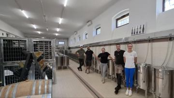 Počela berba i prerada grožđa na Poljoprivrednom odjelu u Poreču