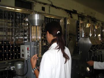 Stručni prijediplomski studij Vinarstvo