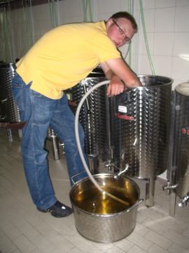 Stručni prijediplomski studij Vinarstvo