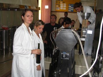 Stručni prijediplomski studij Vinarstvo