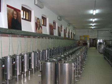 Stručni prijediplomski studij Vinarstvo