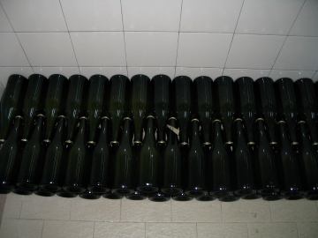 Stručni prijediplomski studij Vinarstvo