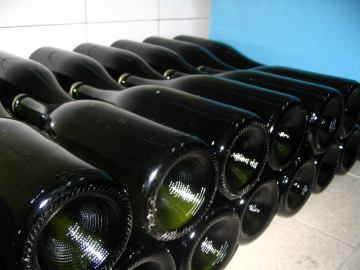 Stručni prijediplomski studij Vinarstvo