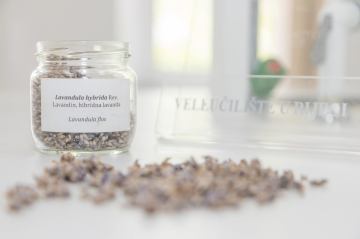 Stručni prijediplomski studij  Održivi agroturizam