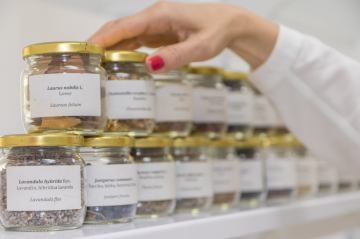 Stručni prijediplomski studij  Održivi agroturizam