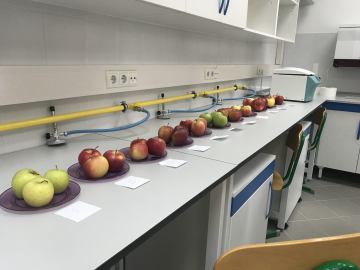 Stručni prijediplomski studij  Održivi agroturizam