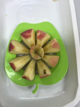 Stručni prijediplomski studij  Održivi agroturizam