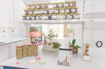 Stručni prijediplomski studij  Održivi agroturizam