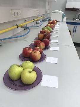 Stručni prijediplomski studij  Održivi agroturizam