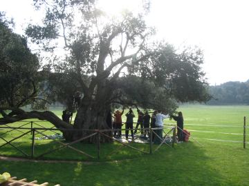 Stručni prijediplomski studij Mediteranska poljoprivreda