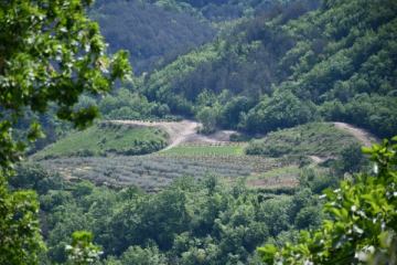 Stručni prijediplomski studij Poduzetništvo od 2025./2026. akademske godine