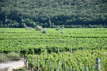 Stručni prijediplomski studij Poduzetništvo od 2025./2026. akademske godine